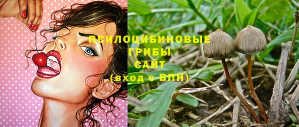 круглые Алексеевка