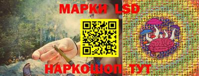 mdpv Краснодар