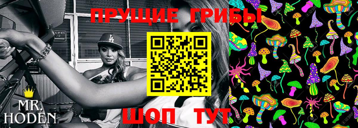 Когалым  Галлюциногенные грибы Psilocybe  Вход с VPN 